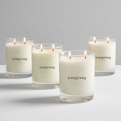 Fashion luxury transparent glass candle jar (1)